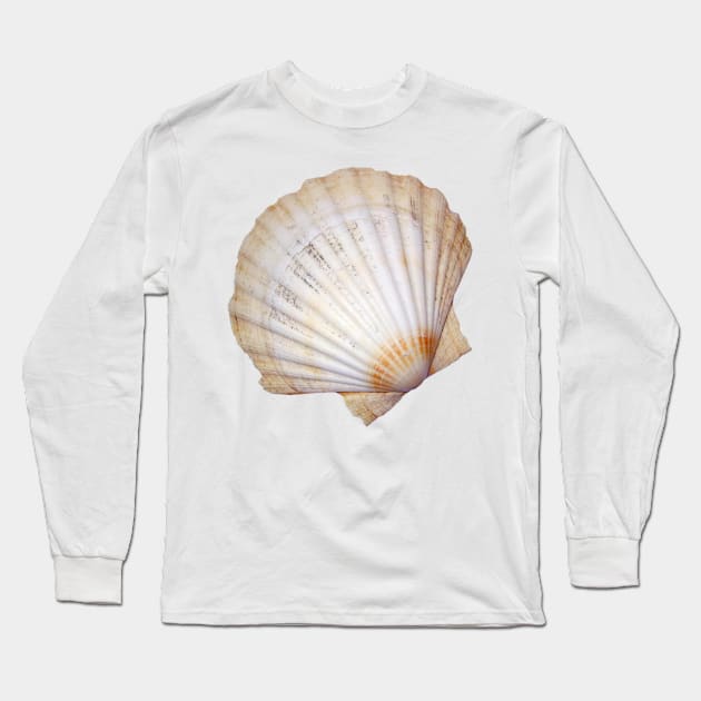 Fan seashell Long Sleeve T-Shirt by hamptonstyle